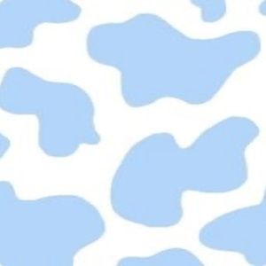 Meet your Posher, Belinda